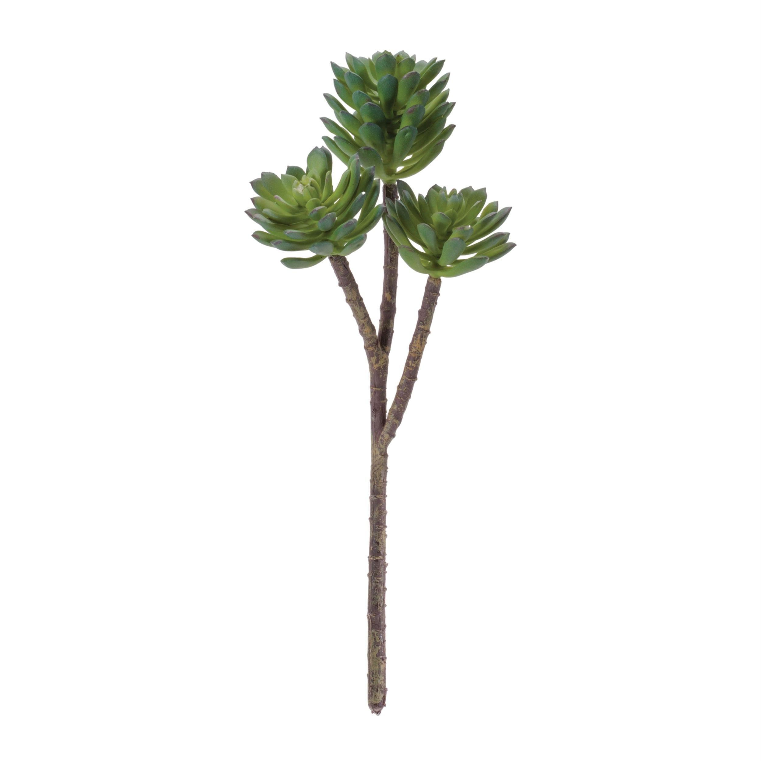 Succulent (Set of 6) 11"H Plastic