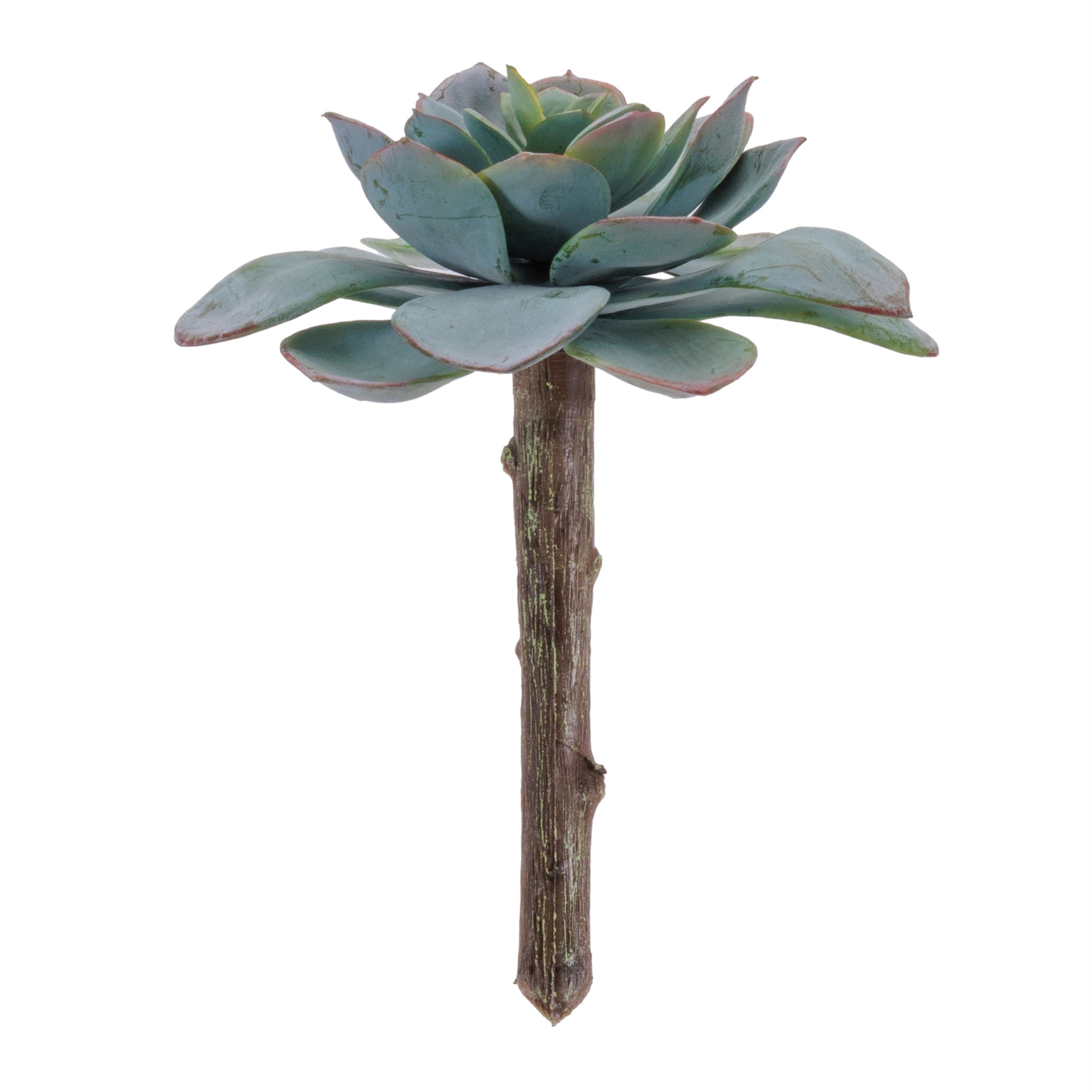 Succulent (Set of 12) 5"H Plastic