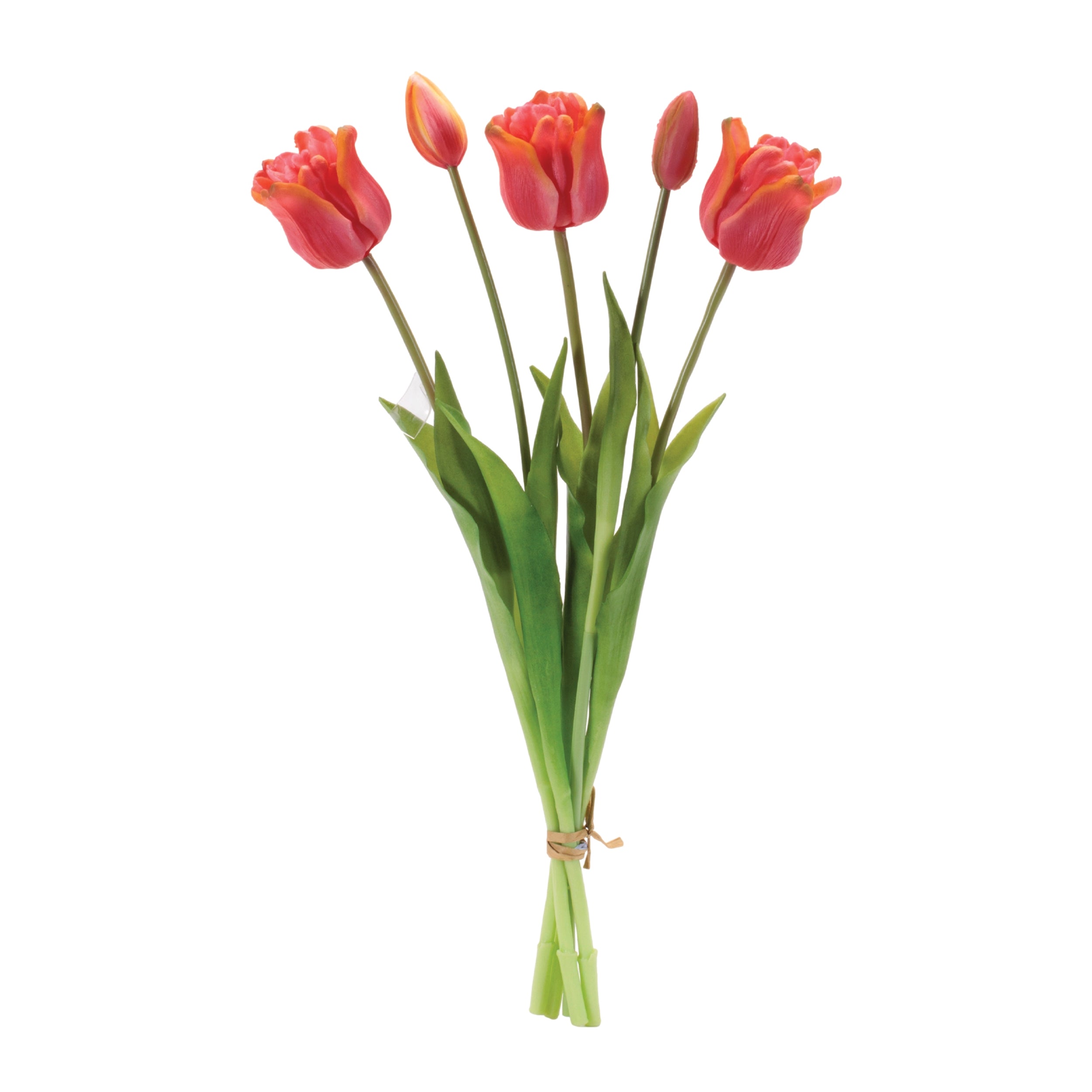 Tulip Bundle (Set of 2) 18.5"H Plastic