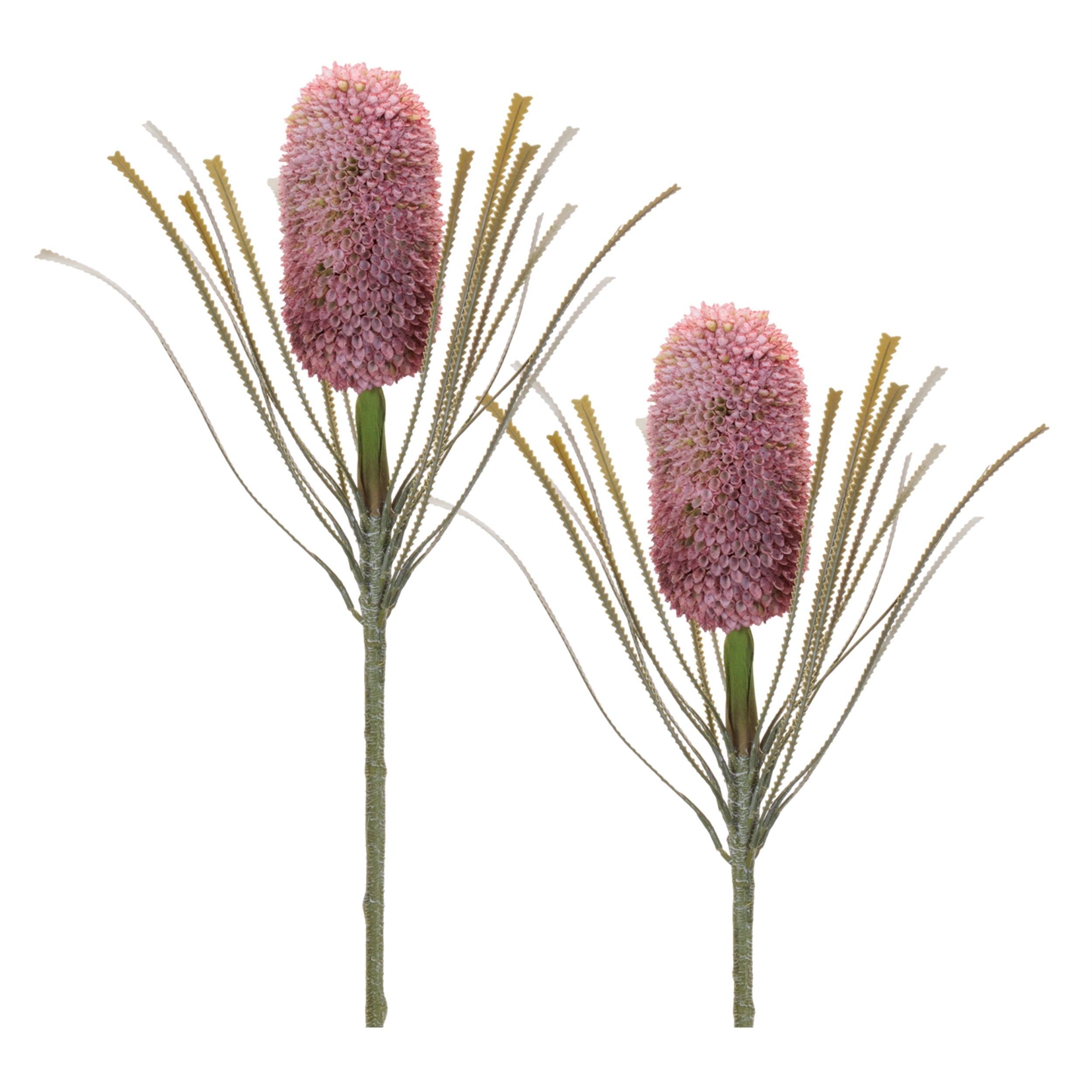 Protea Stem (Set of 2) 28"H Plastic