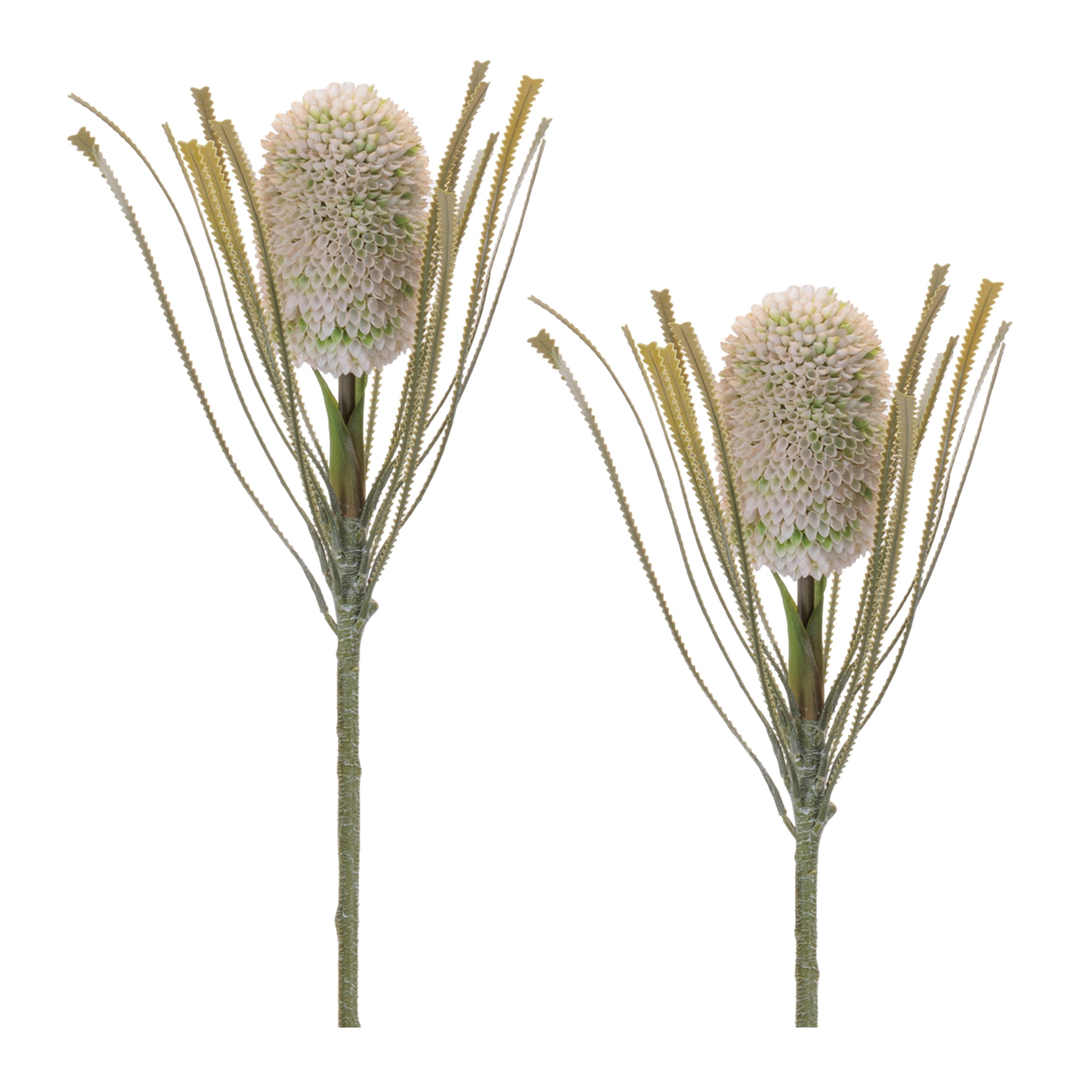 Protea Stem (Set of 2) 28"H Plastic