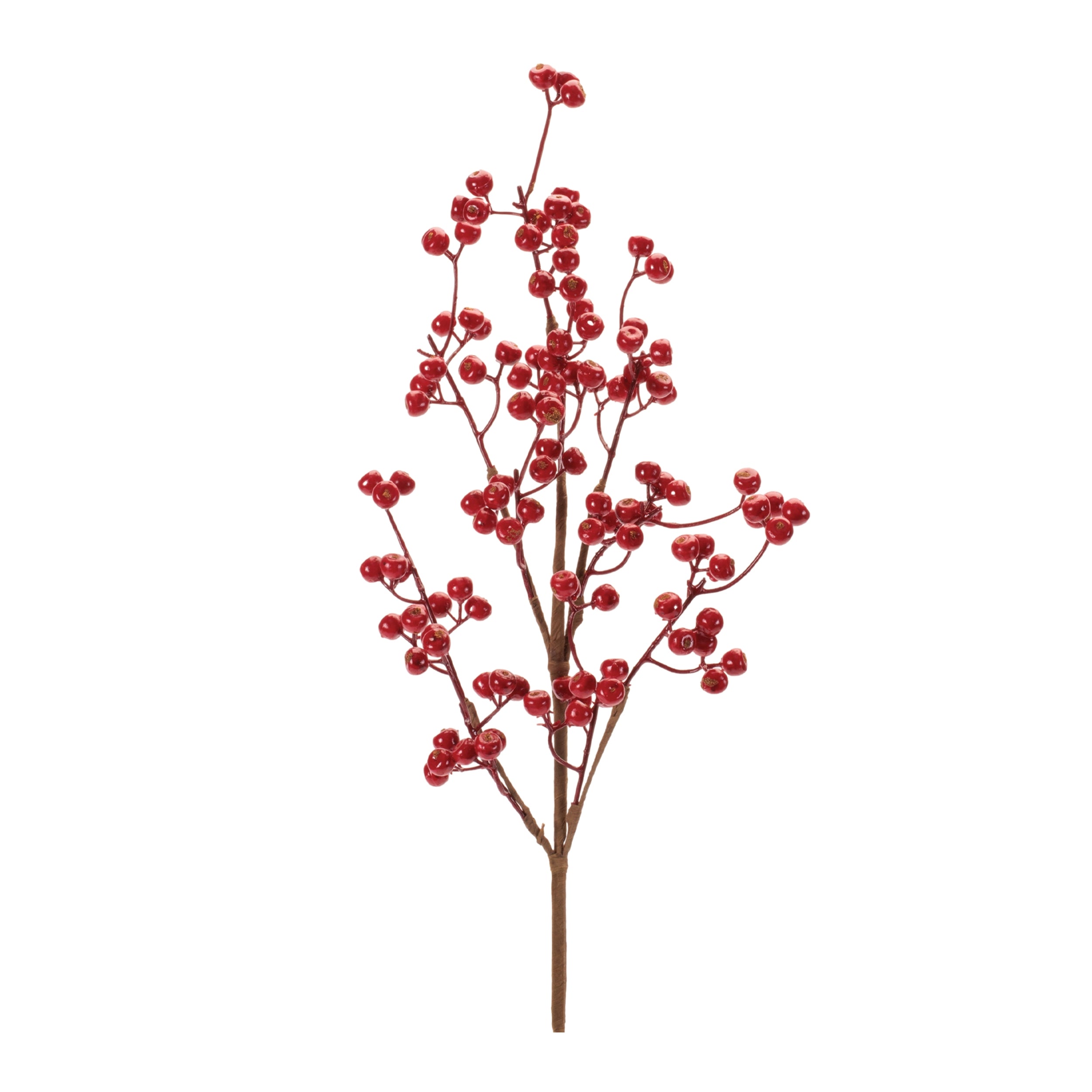 Berry Spray 25”H Foam