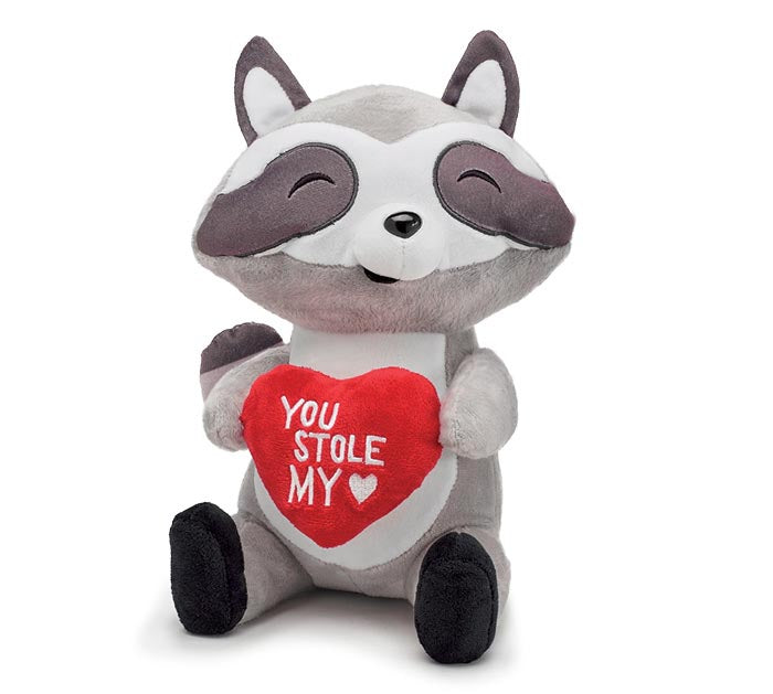 Stole My Heart Racoon Plush