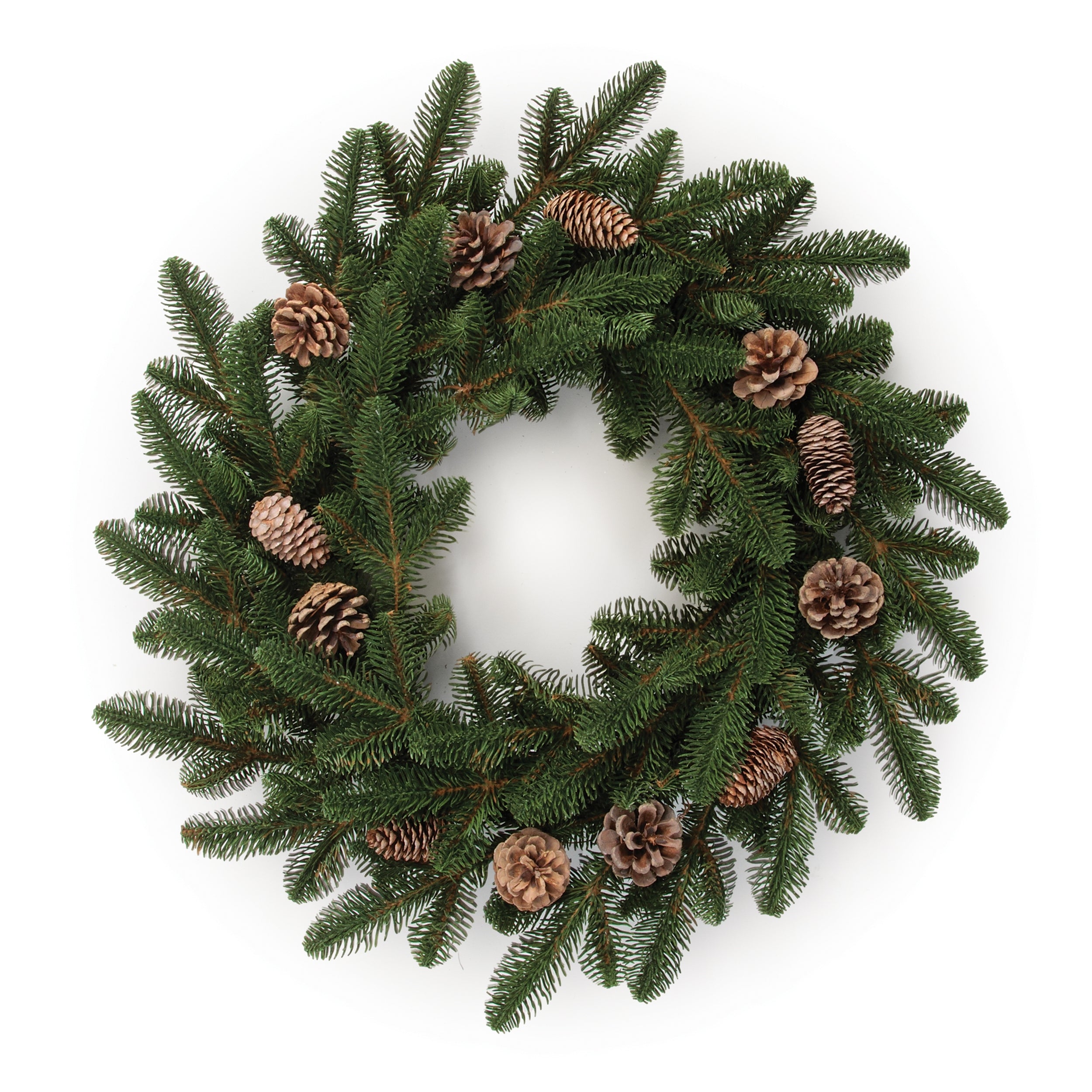 Pine Wreath 22”D
