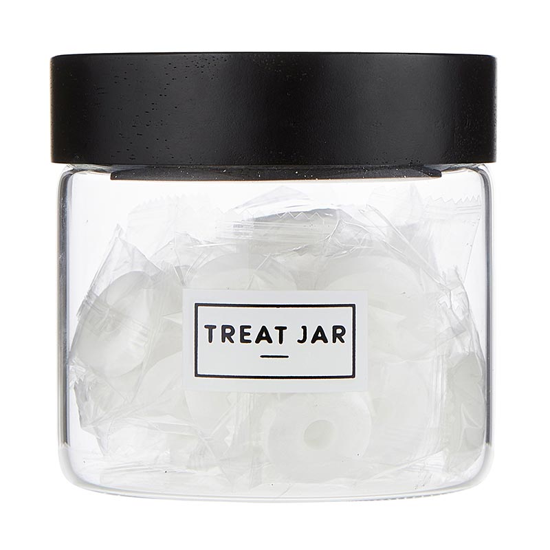 Treat Jar Pantry Canister - 17oz