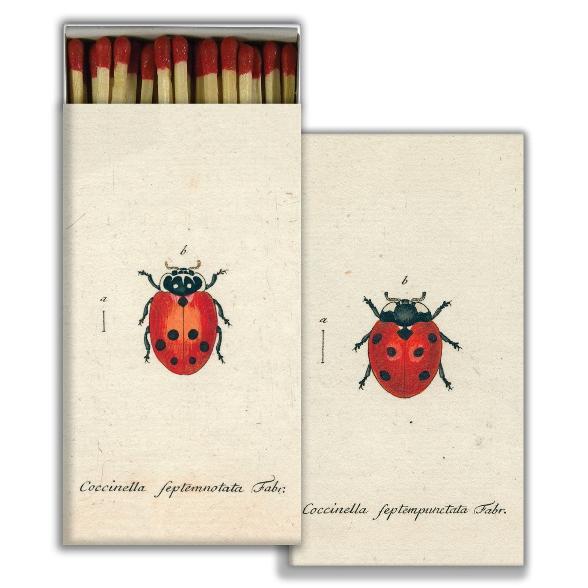 Matches - Little Lady Bug & Red Lady Bug - Red