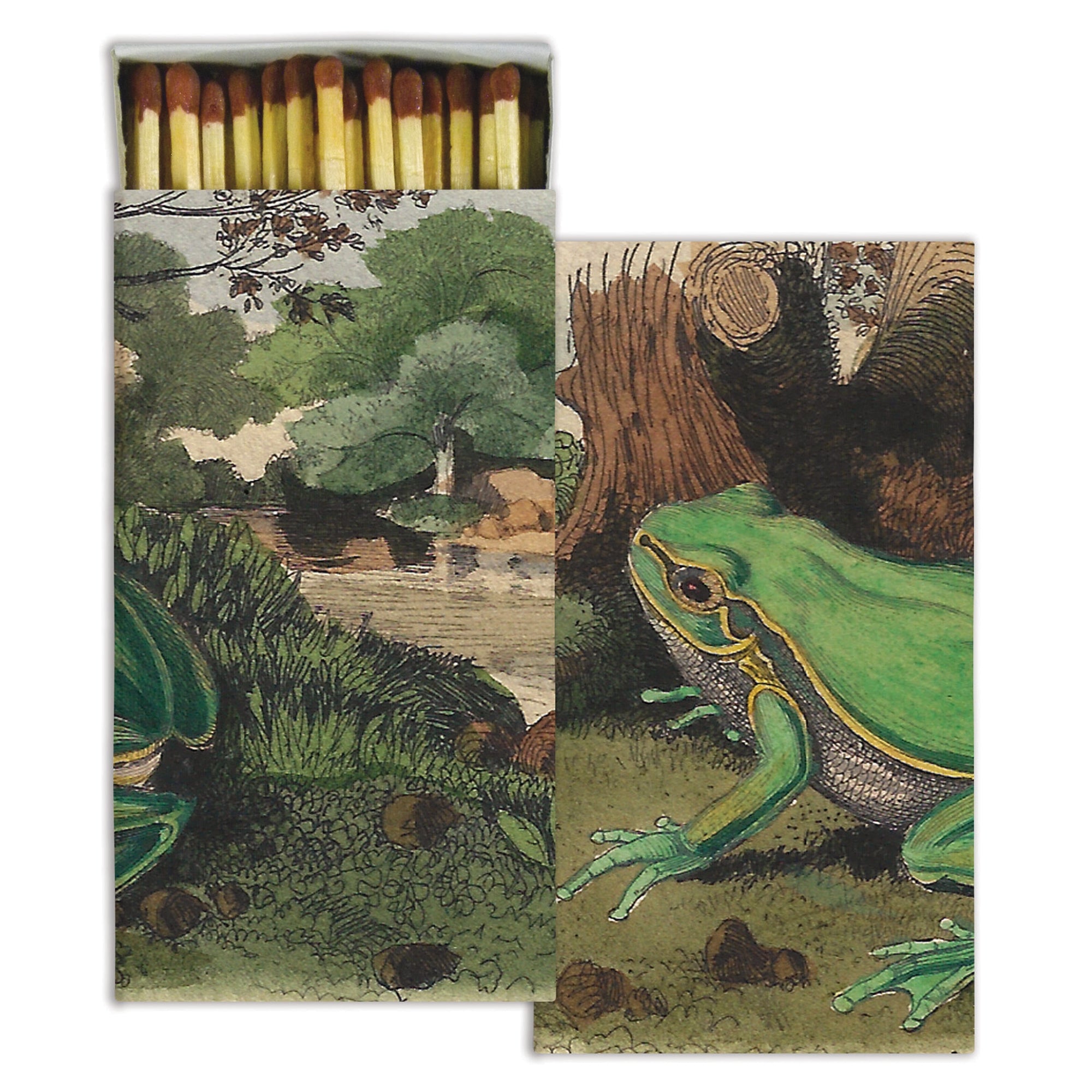 Matches - Landscape with Frog