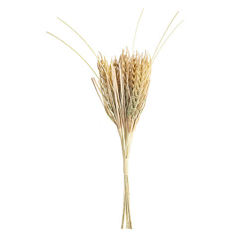 Wheat Pick (5610108977309)
