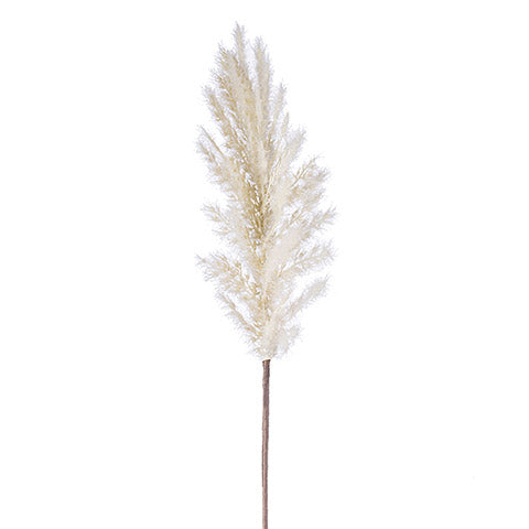 Pampas Grass Stem - Cream (5609799581853)