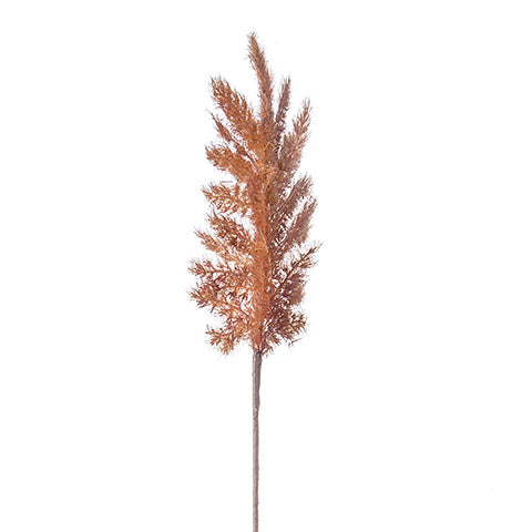 Pampas Grass Stem - Rust (5609799647389)