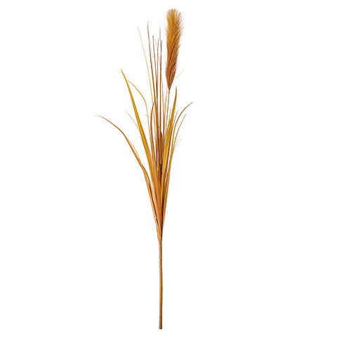 Longstem Brown Pampas Grass Stem (5610100392093)