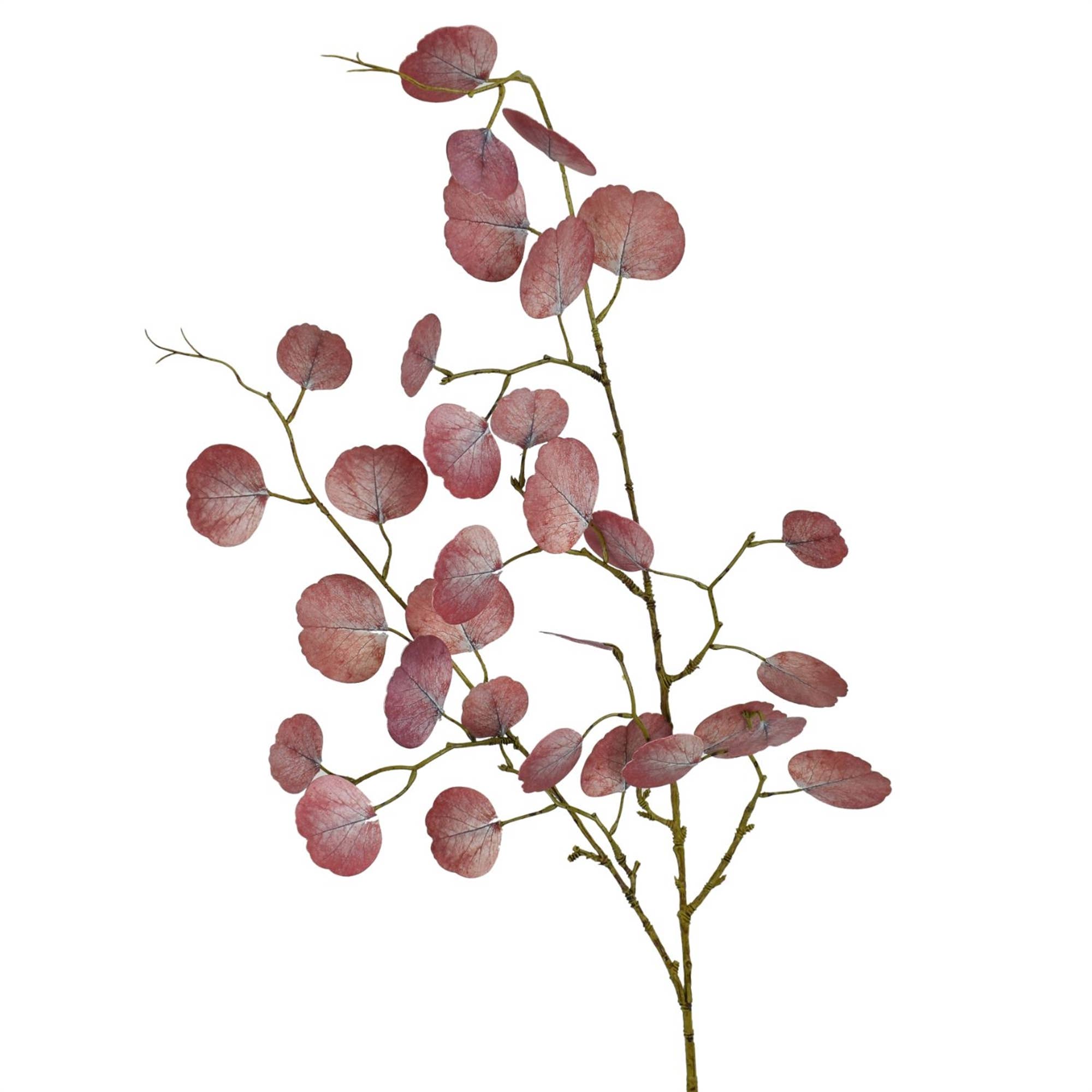 Faux Preserved Raspberry Eucalyptus