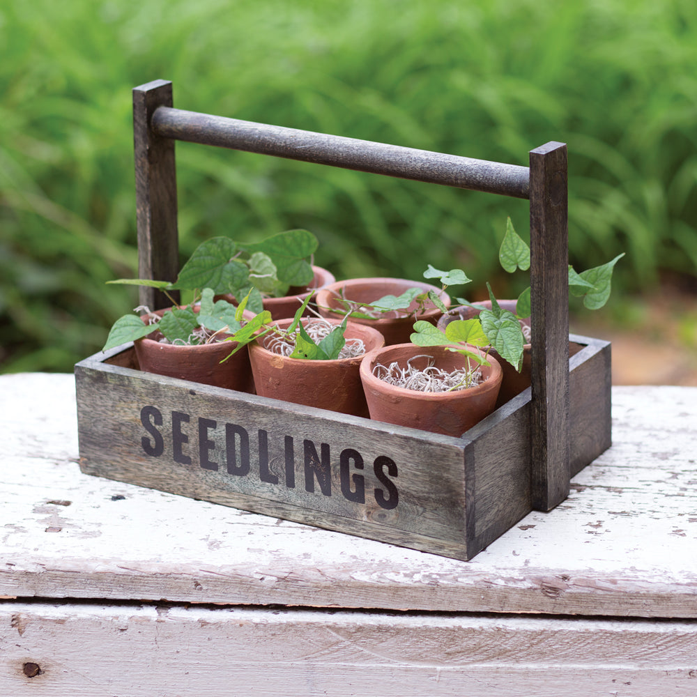 Seedling Carrier w/ Handmade Terracotta Pots
