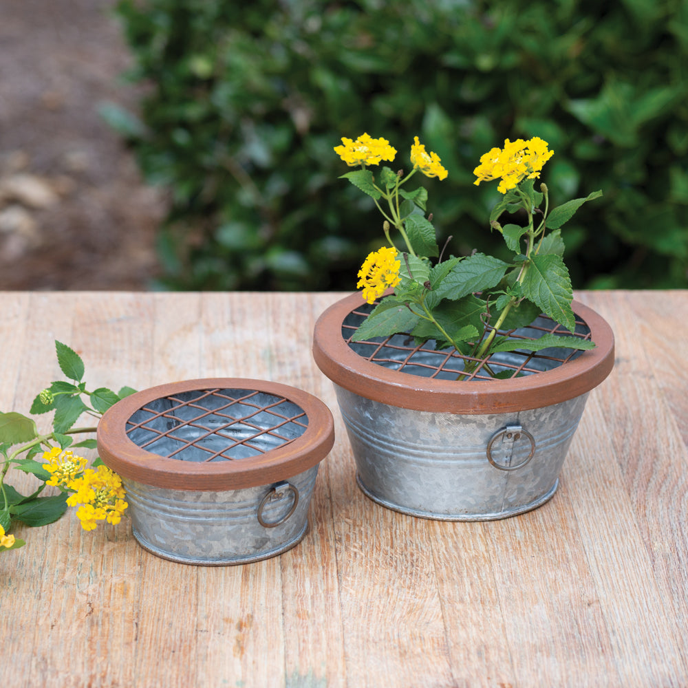 Flower Frogs w/ Pails (S/2)