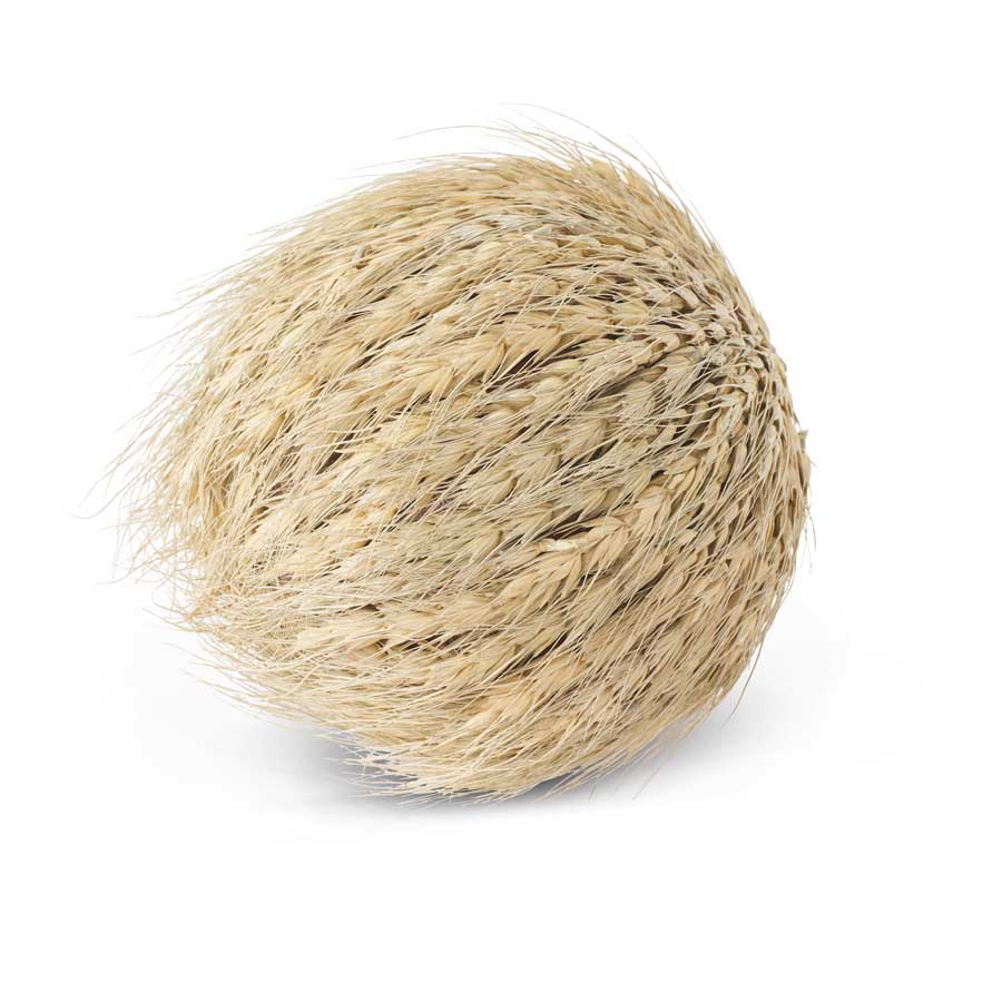 Decorative Natural Wheat Spike Ball (5610106585245)