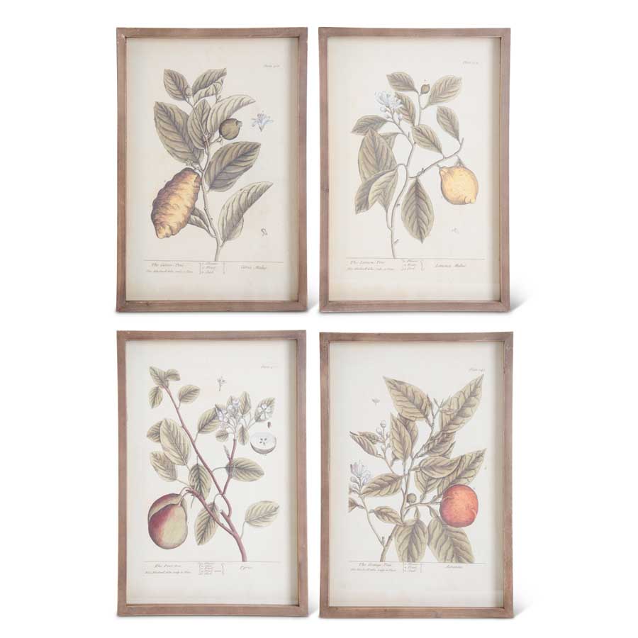 Muted Neutral Fruit Prints (S/4) (5655033020573)