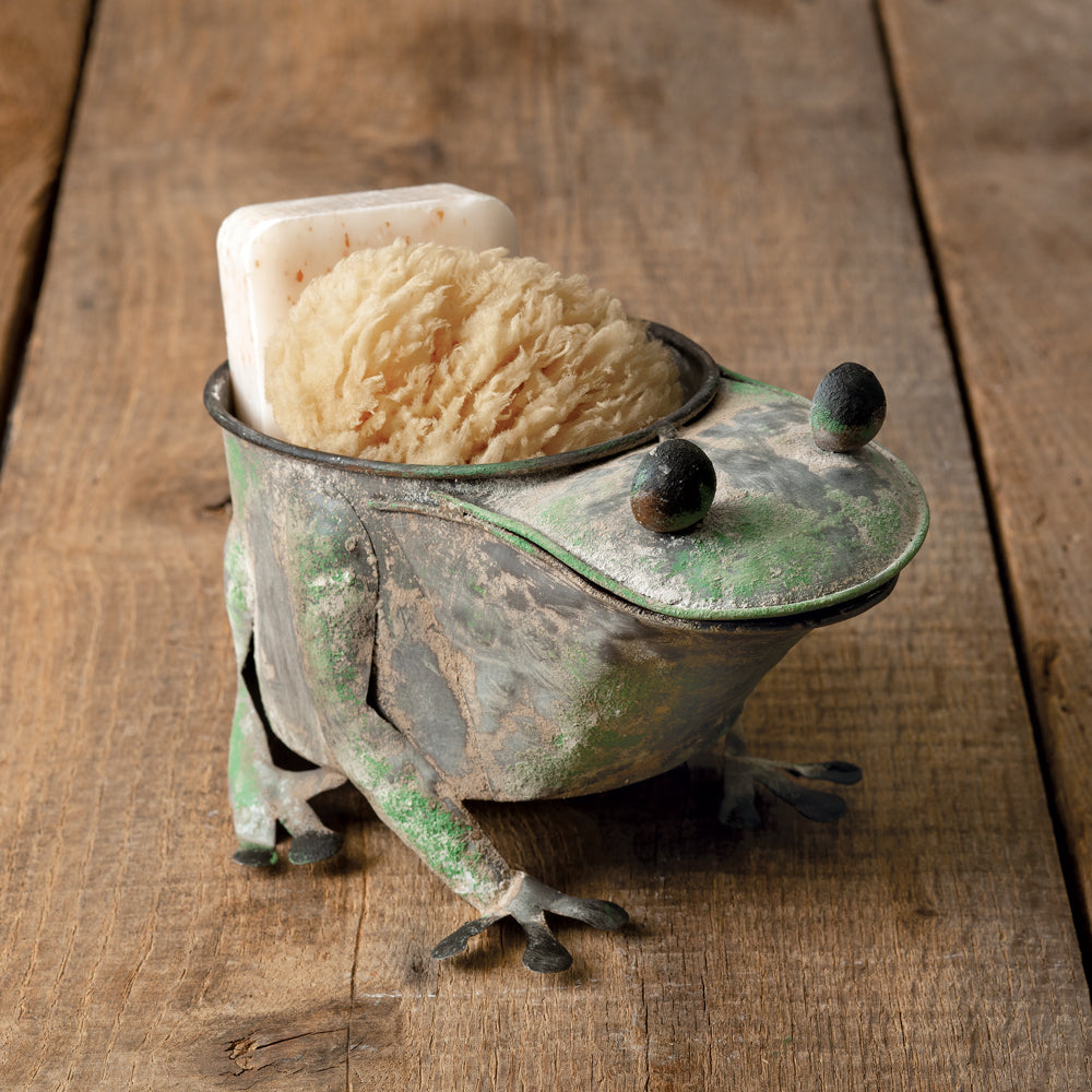 Rusty Frog Planter