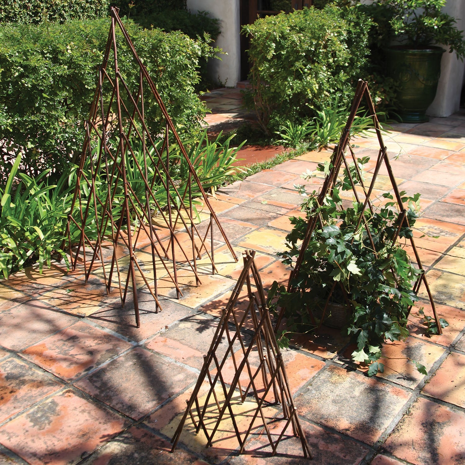 Pyramid Wooden Trellis' (Small)