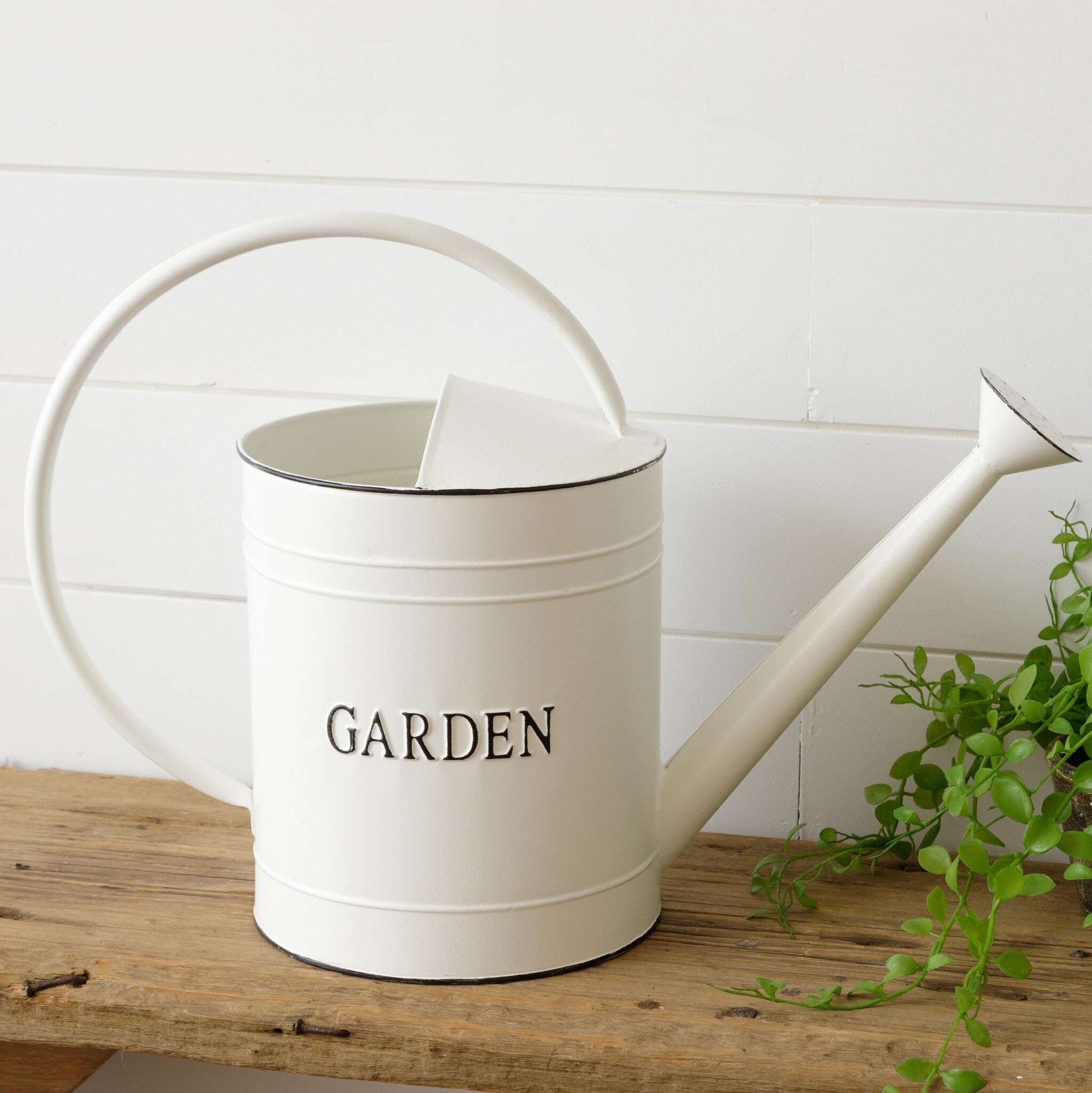 Neutral Watering Can