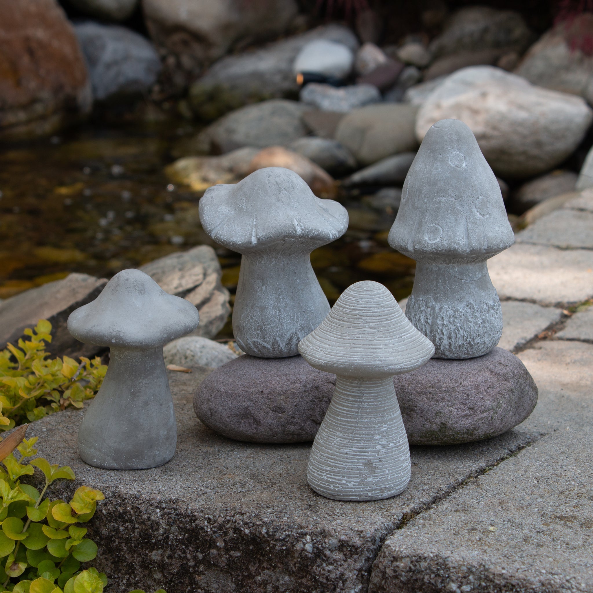 Cement Mushrooms