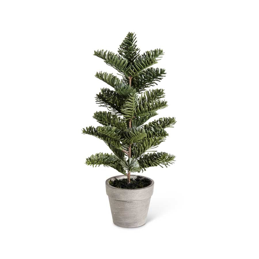 Jaden Pine Tree in Clay Pot (S) – West Haven & Company