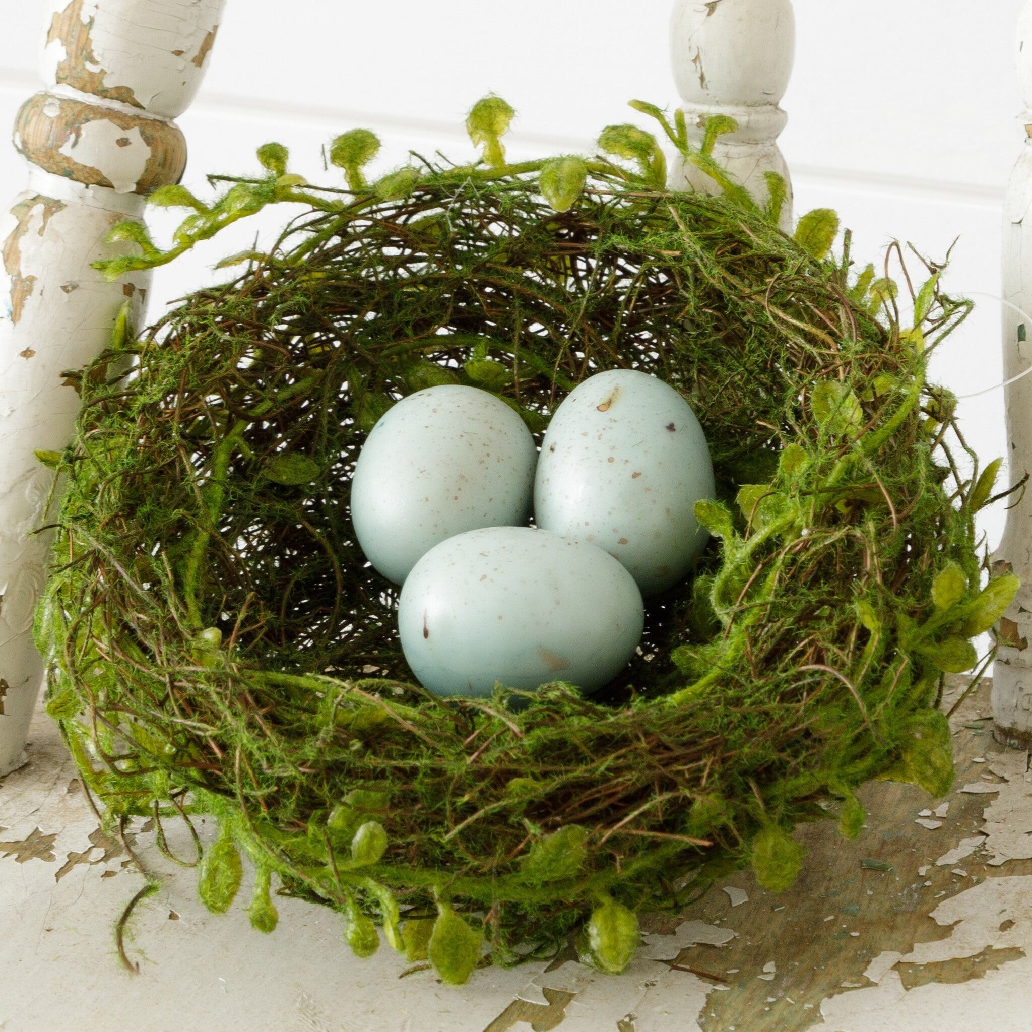 Robin's Egg Nest w/ Eggs
