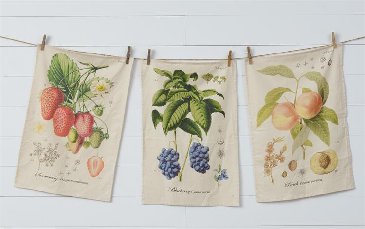 Freshly PIcked Kitchen Towels (S/3)