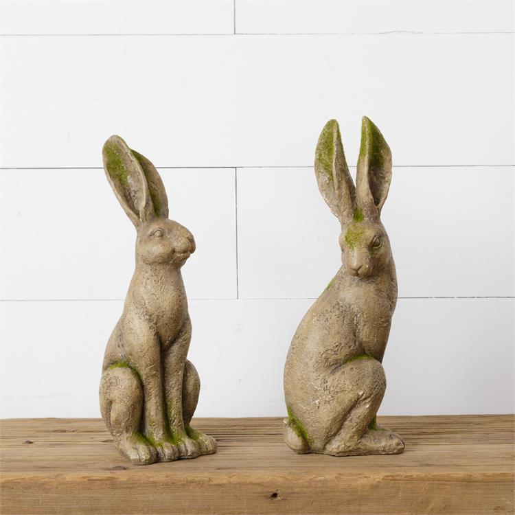 Mossy Rabbits (S/2)