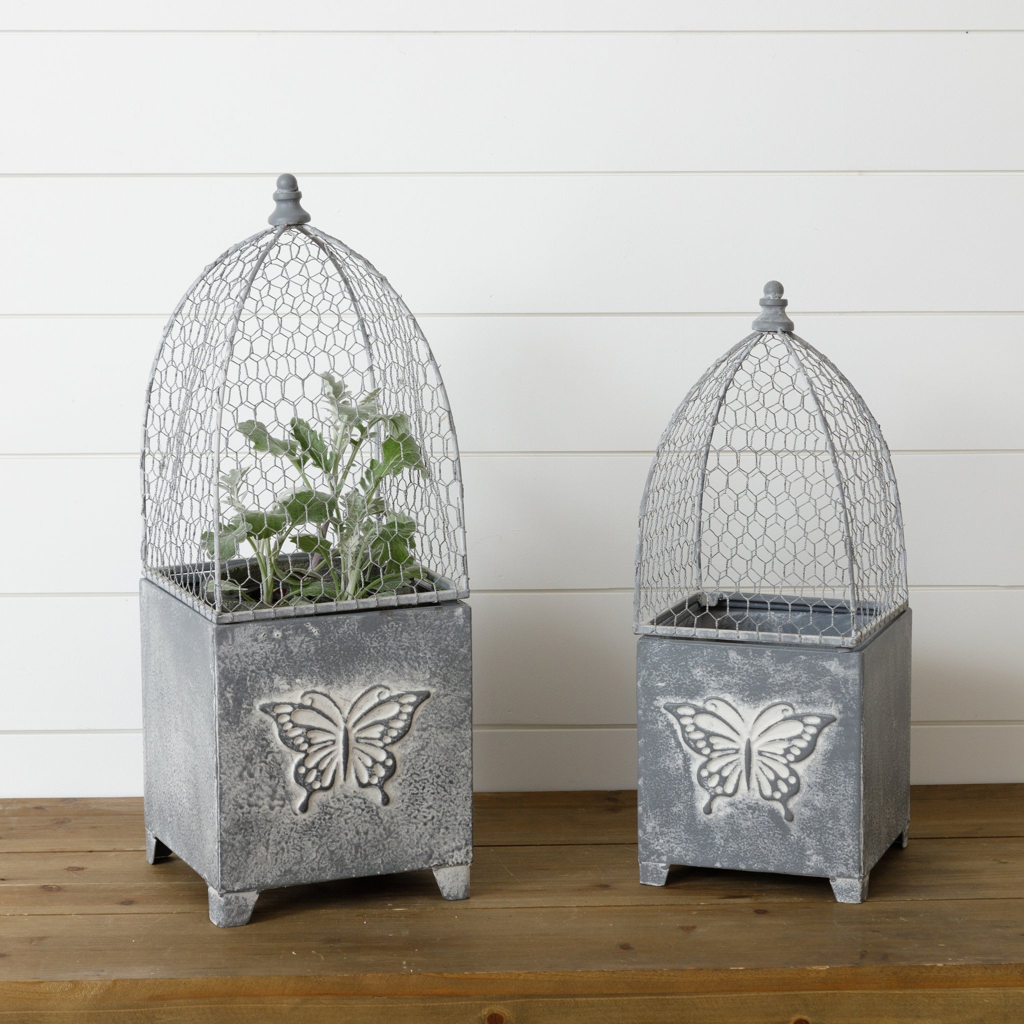 Butterfly Planters w/ Cloches (S/2)