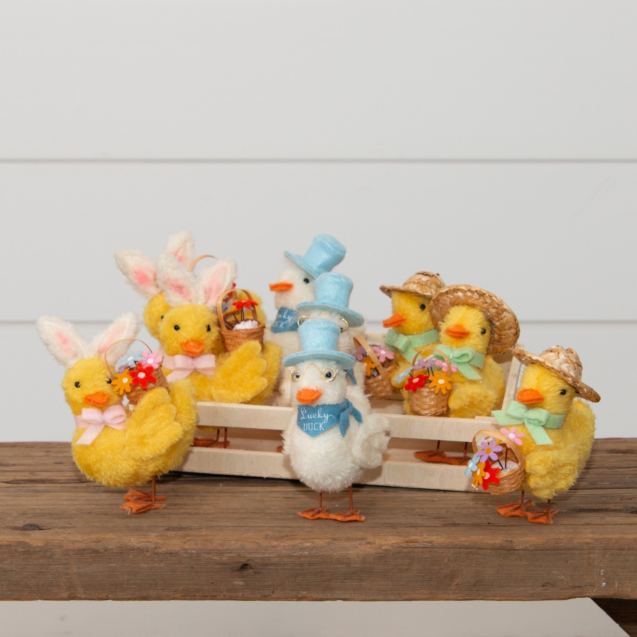 Crate Of 9 - Springtime Ducks