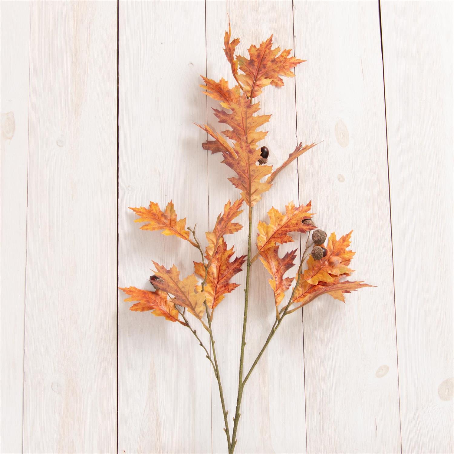 Oak Leaves And Acorns Branch