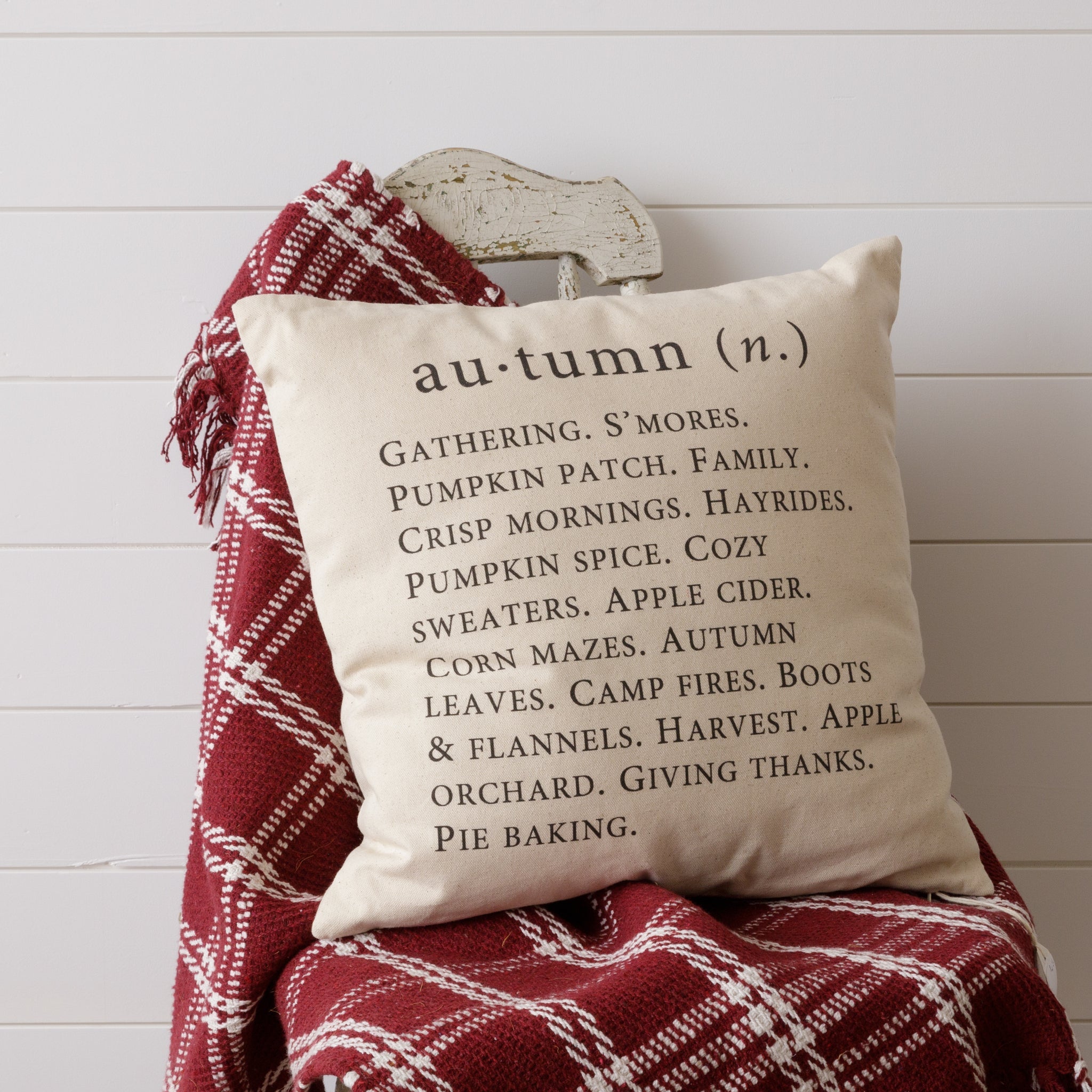 Autumn Definition Pillow