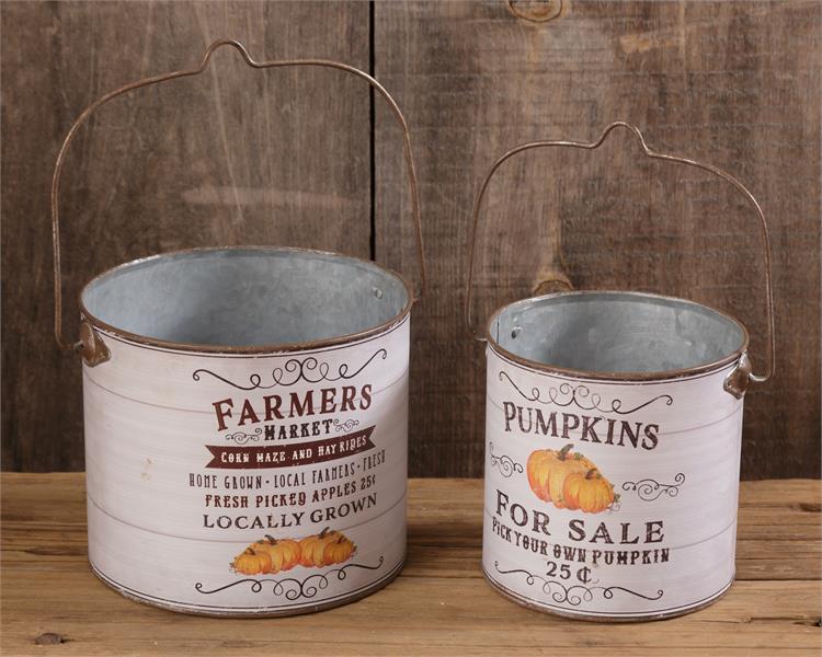 Farmer's Market / Pumpkin For Sales Buckets