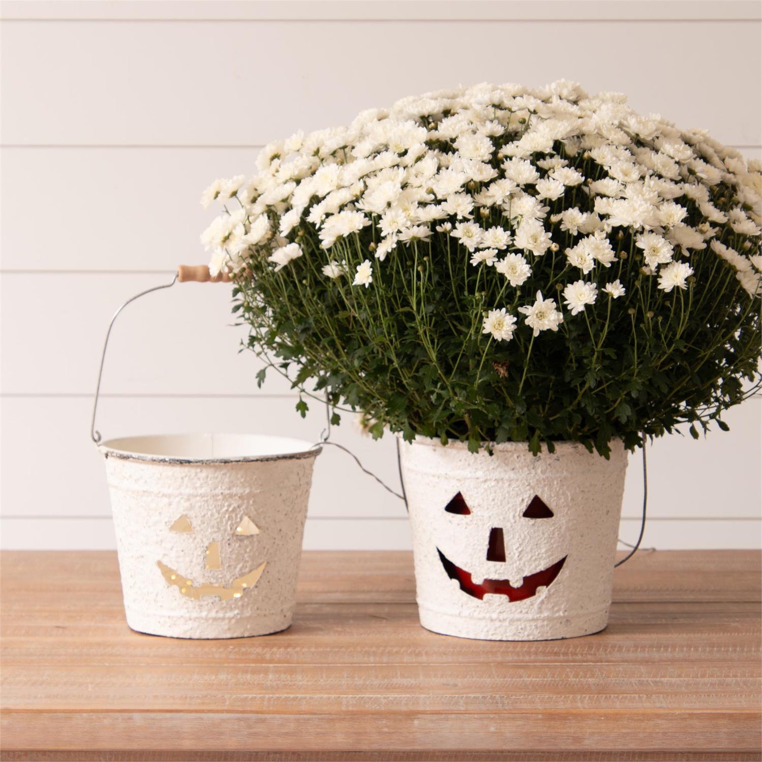 Metal Jack O' Lantern Buckets (S/2)