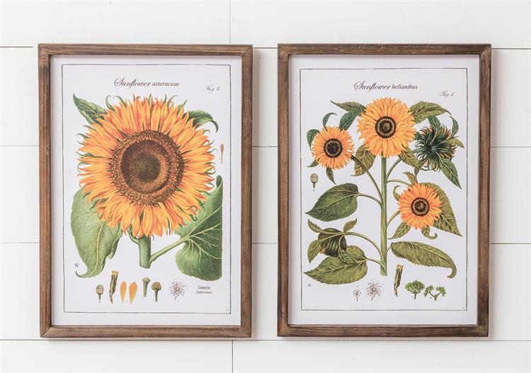 Framed Botanical Sunflower Wall Art