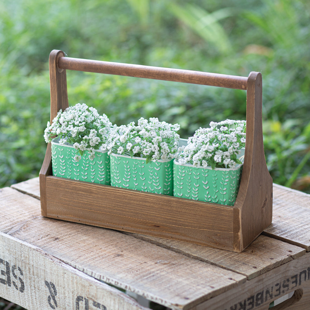 Wooden Carrier with Mint Green Containers