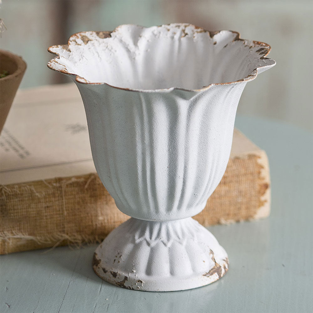 Small Scalloped Cup (S/4)