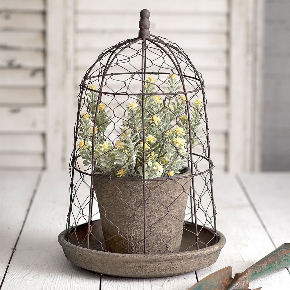 Chicken Wire Cloche with Terra Cotta Pot and Saucer