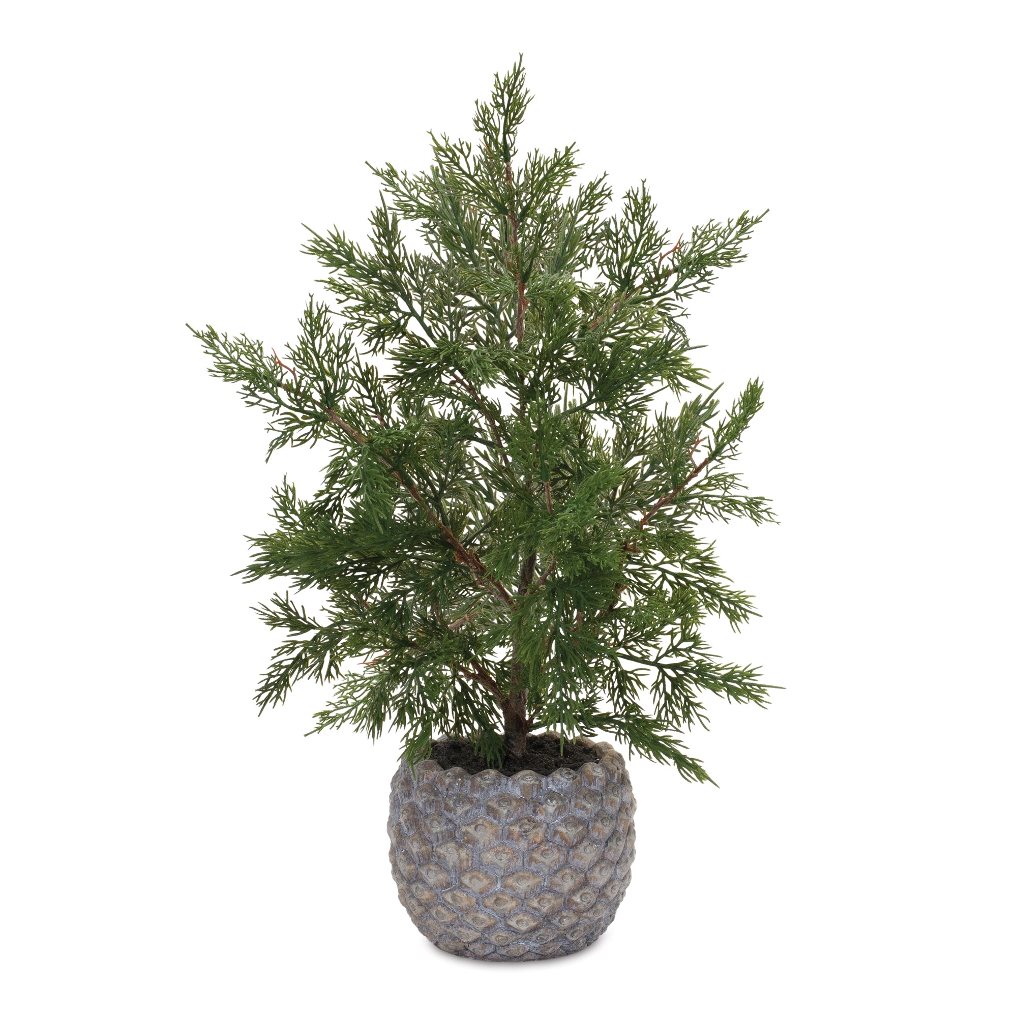 23" Potted Pine w/ Planter