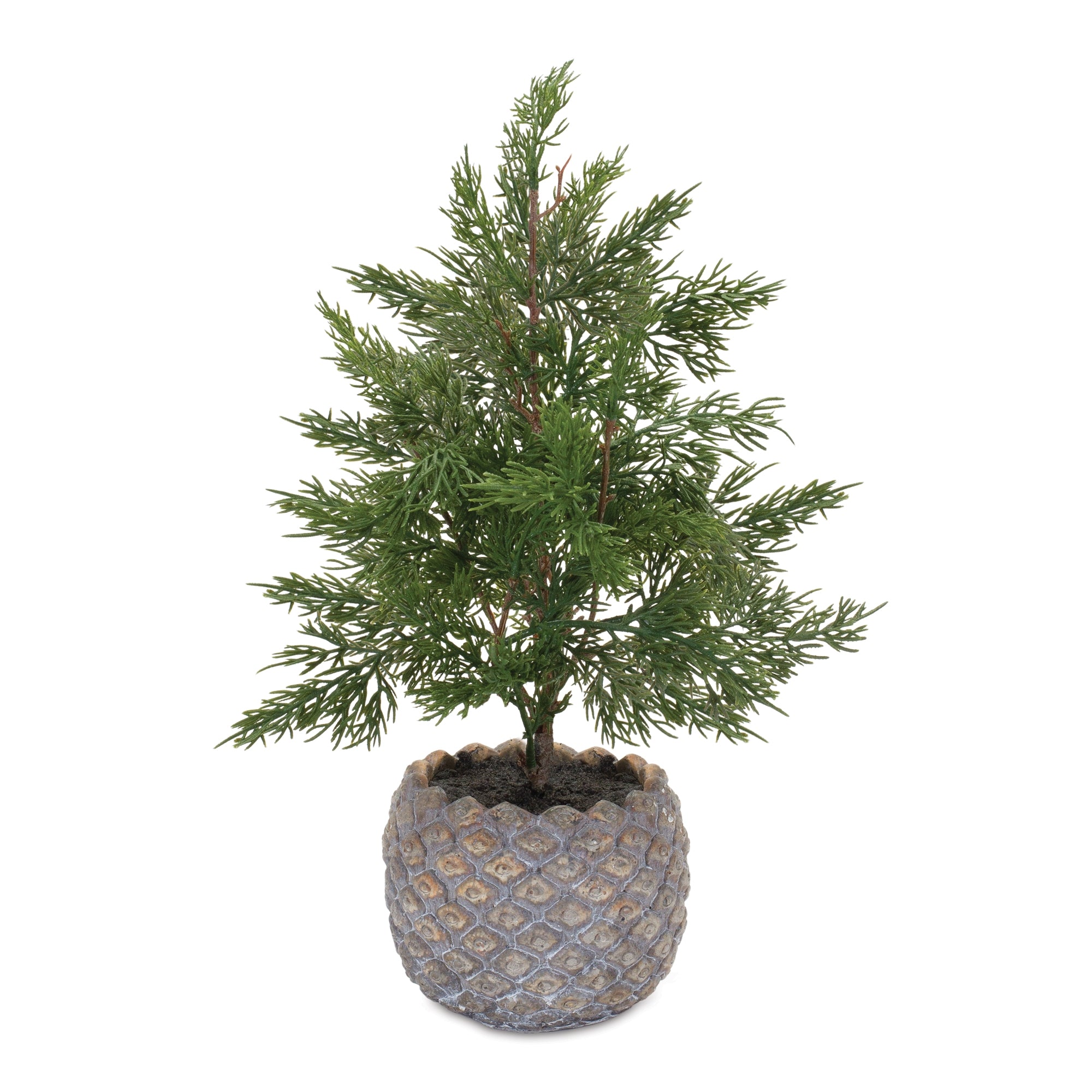 16" Potted Pine w/ Planter