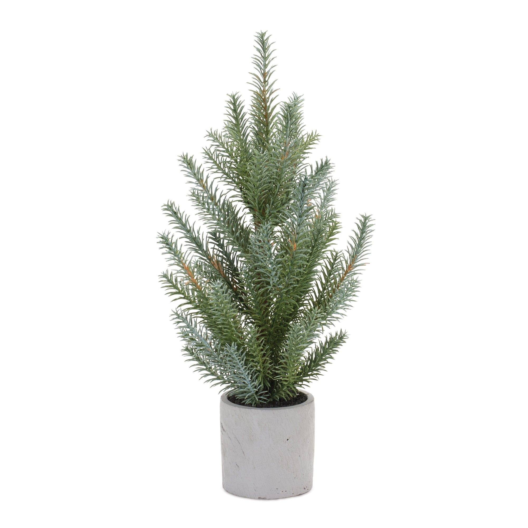 Pine Tree in Plastic Pot (Set of 2)