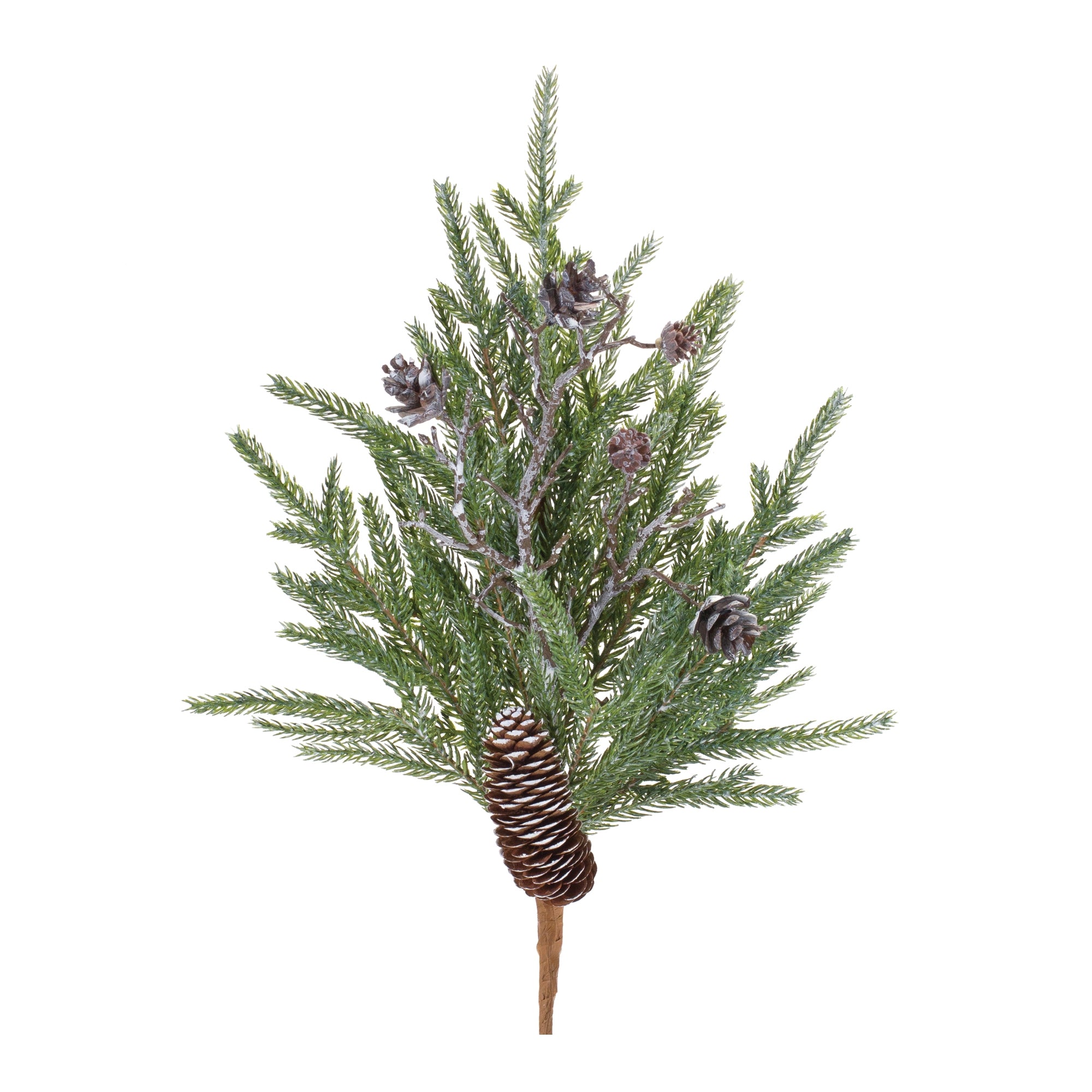 Pine and Cone Stem (Set of 6)