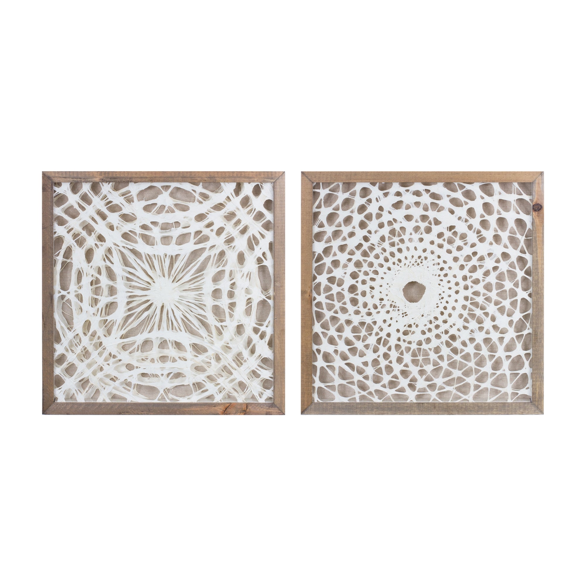 Framed Paper Mache Wall Art (Set of 2)