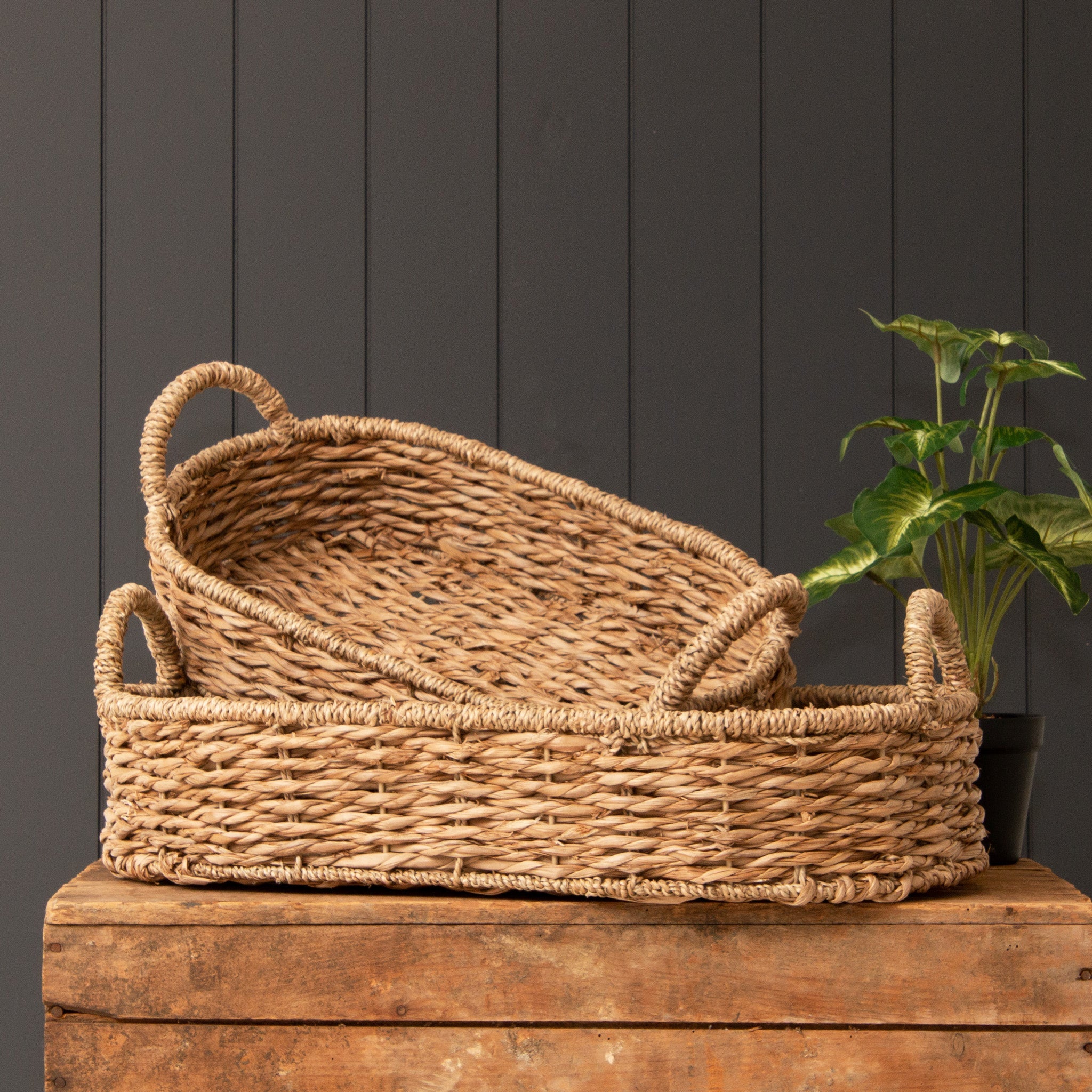 Handmade Seagrass Oval Basket Trays