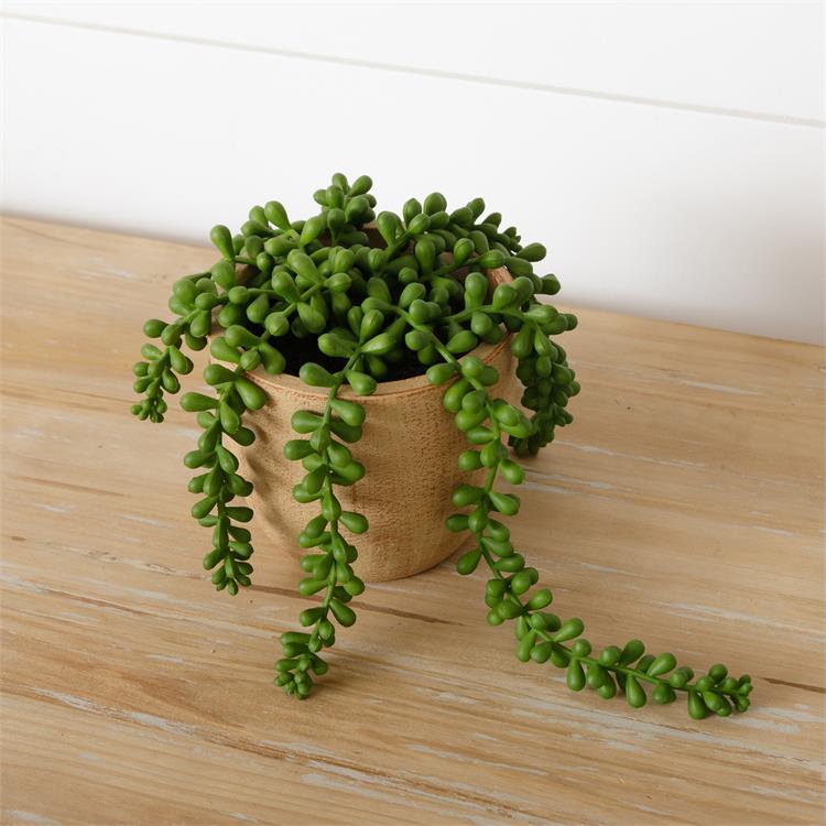 Faux Potted String of Pearls Plant