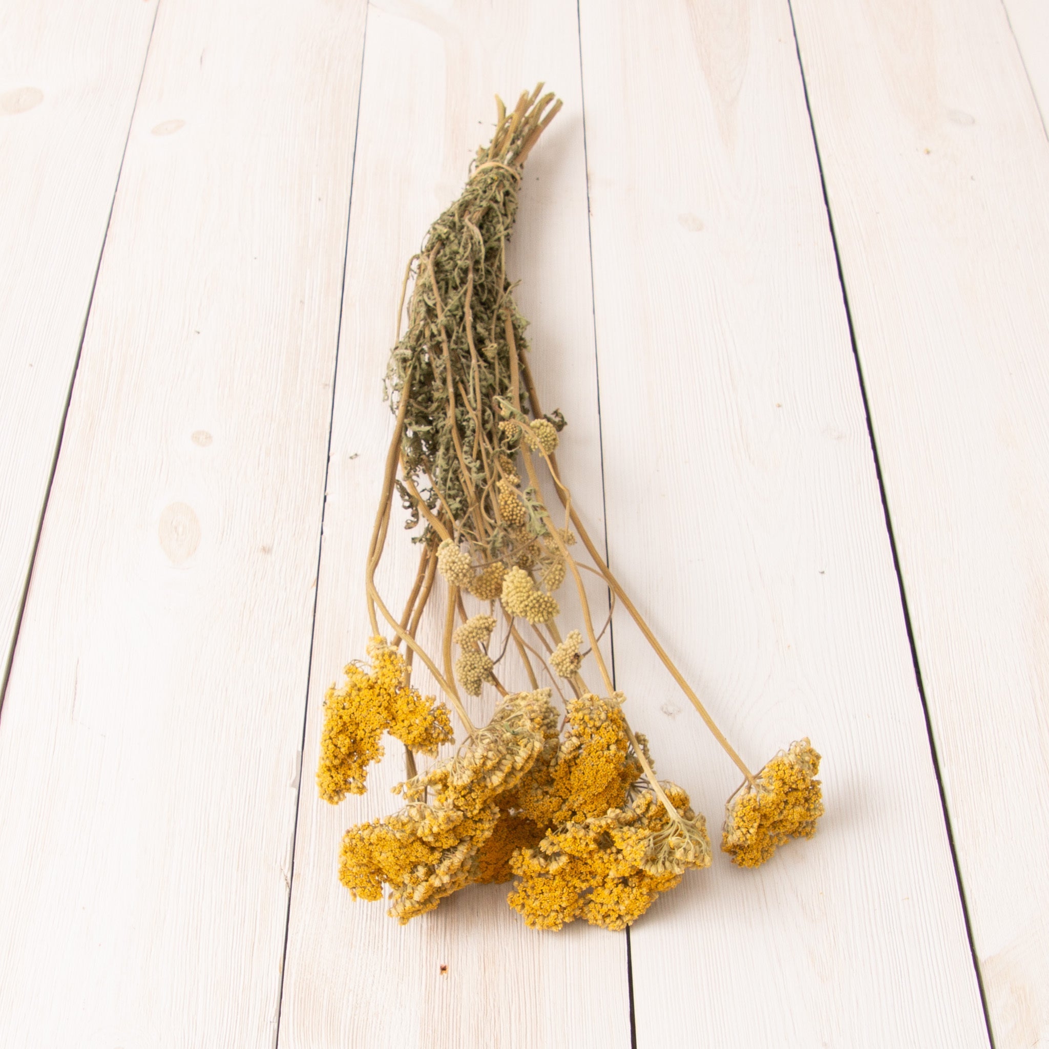 Dried Yellow Yarrow Bundle