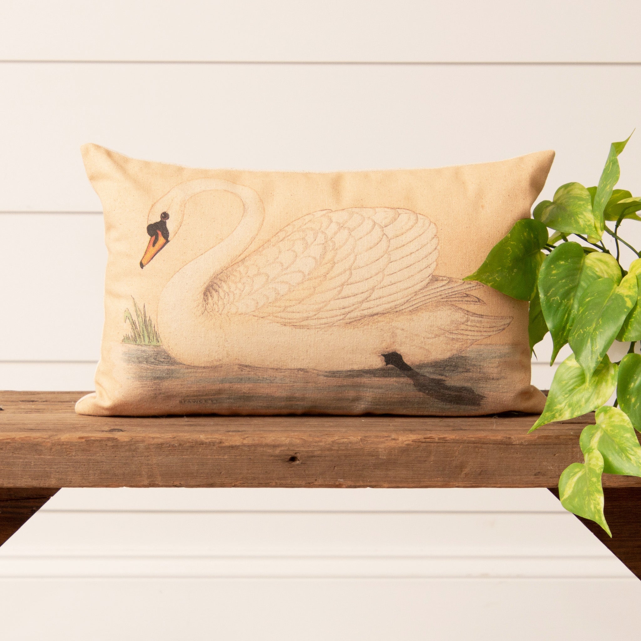 Pillow - Swan