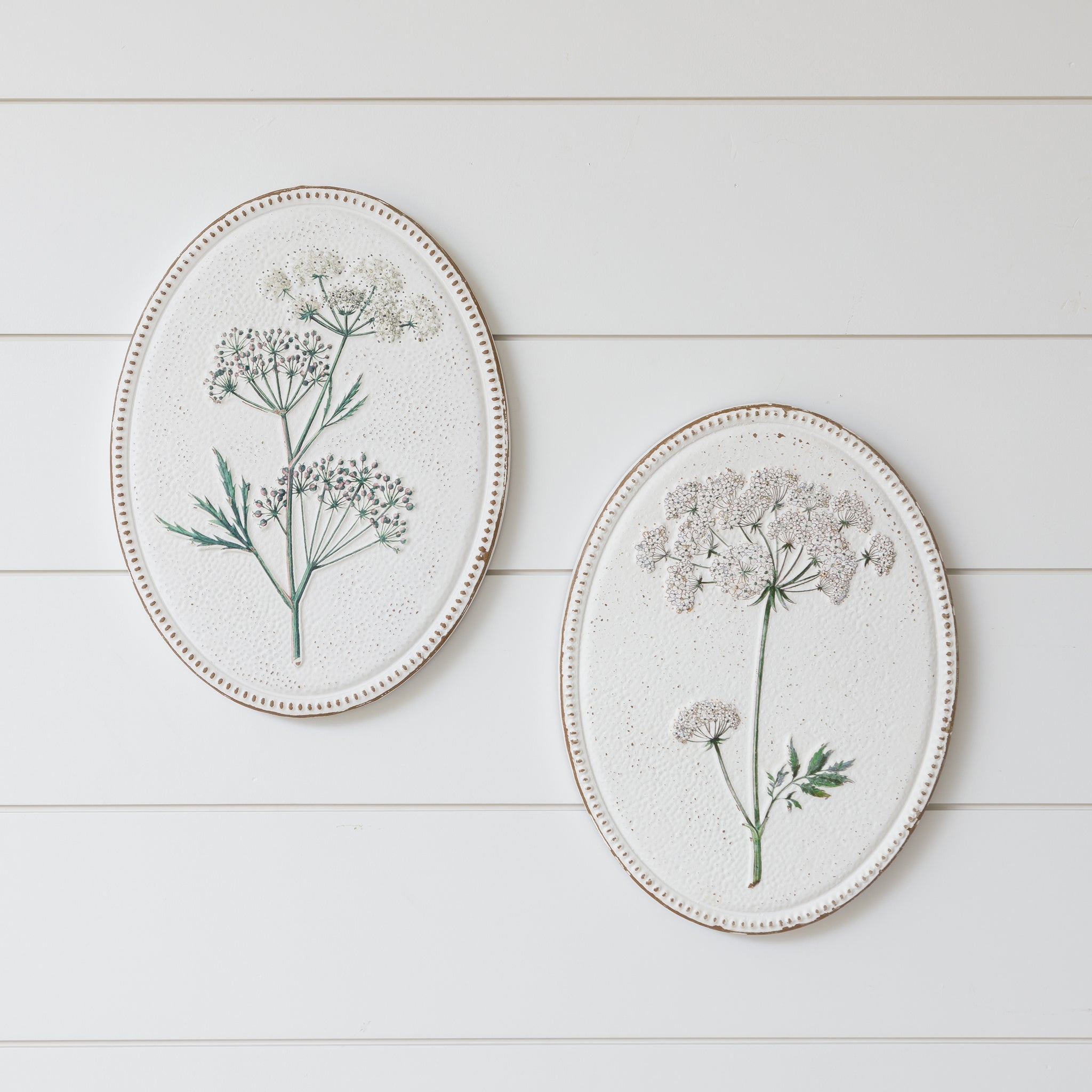 Wall Art - Embossed Queen Anne's Lace Floral