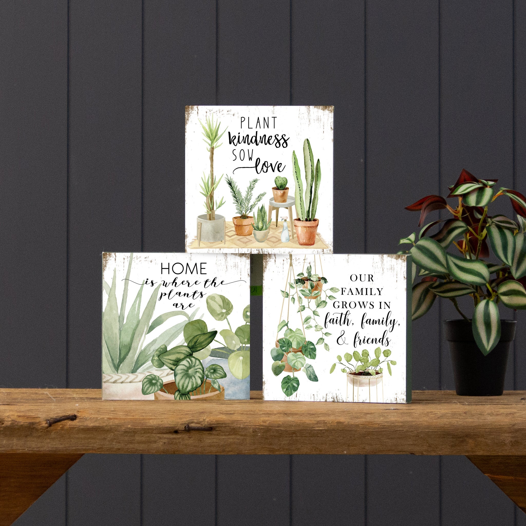 Block Signs - Plant Sayings