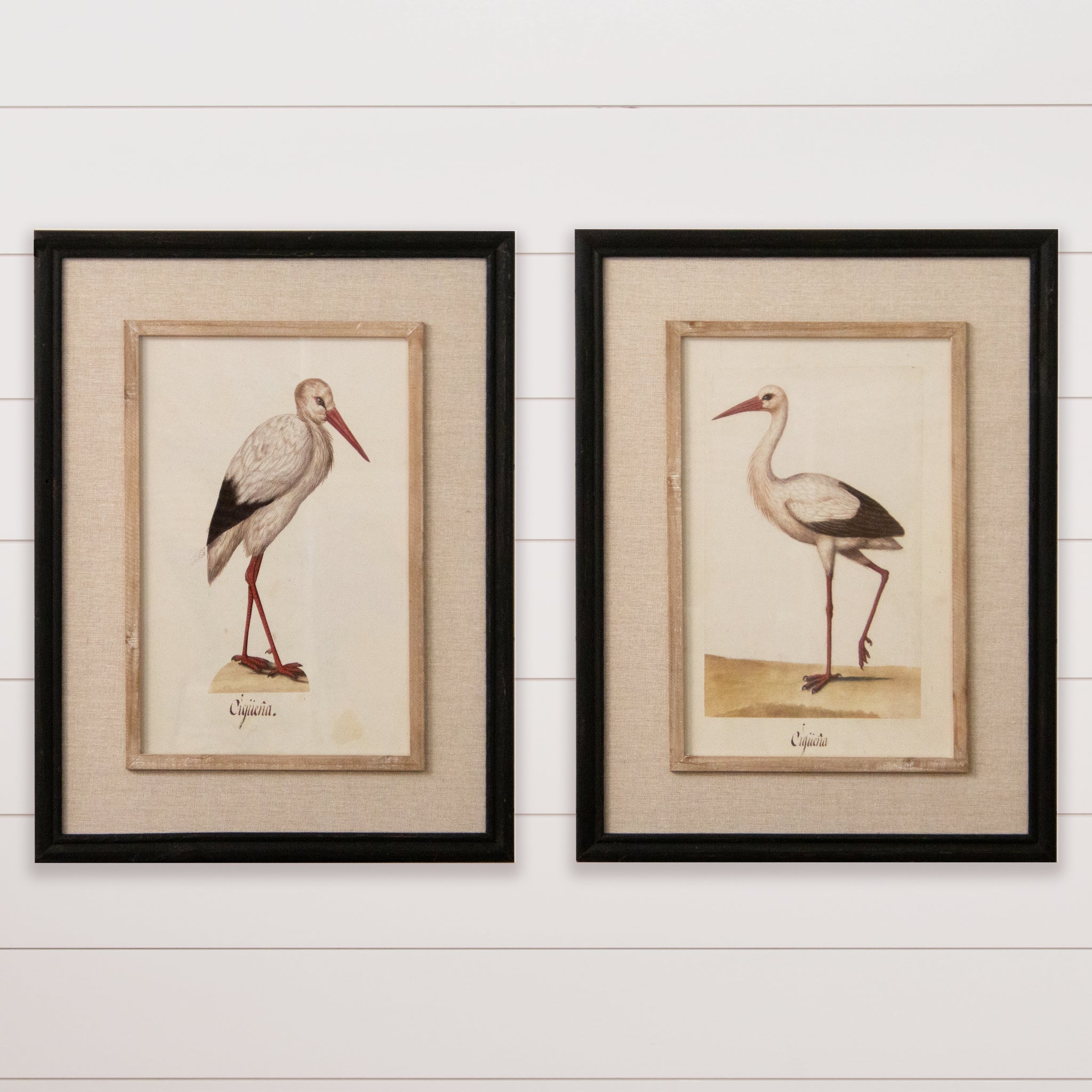 Framed Prints - Herons (S/2)